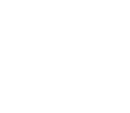 Eagle Medical, Inc.