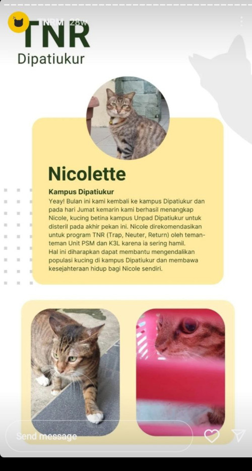okKbh.jpg